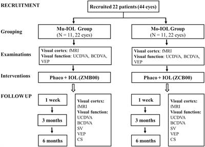 Comparison of Visual Neuroadaptations After Multifocal and Monofocal Intraocular Lens Implantation